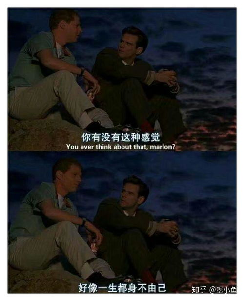 平凡师叔，短剧魅力与人生启示