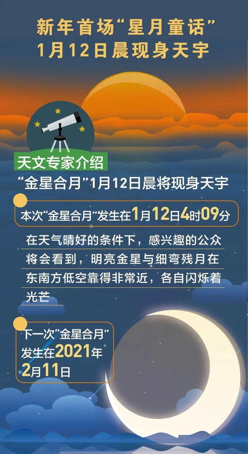 天目神童短剧免费观看指南