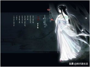 麒麟赘婿，传统与现代的完美融合