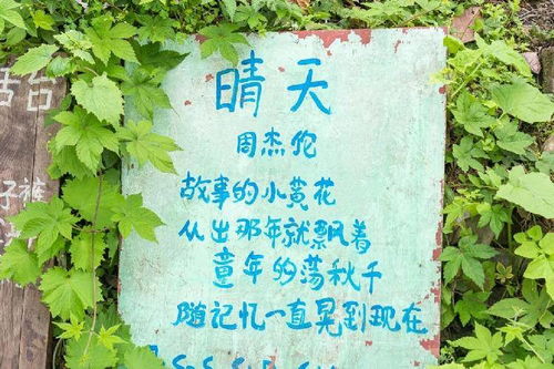 春日暖阳下的免费短剧盛宴的标题建议，免费短剧盛宴，春日暖阳下的文化盛事。