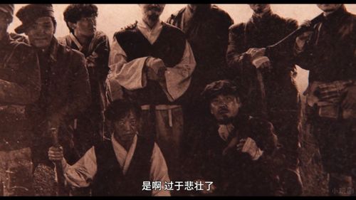 网络文化中的独特魅力，免费观看乞丐短剧全集