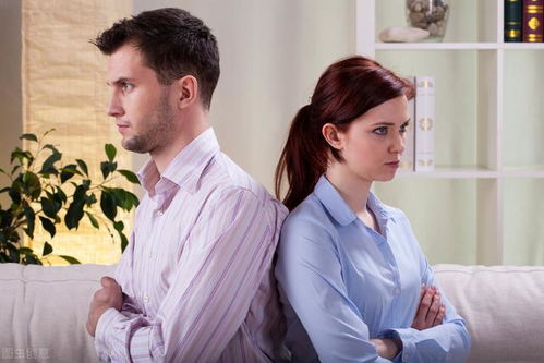 现代婚姻的悲欢离合，总裁离婚短剧免费观看