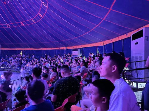 免费观看，深夜港湾，视觉与心灵的盛宴