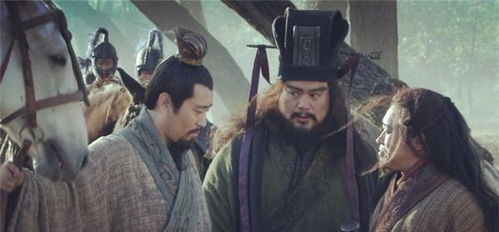 免费观看，天府少帅，川蜀英雄风采尽显