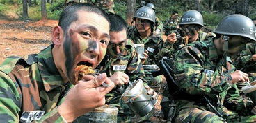 韩国免费短剧，新兵的精彩世界