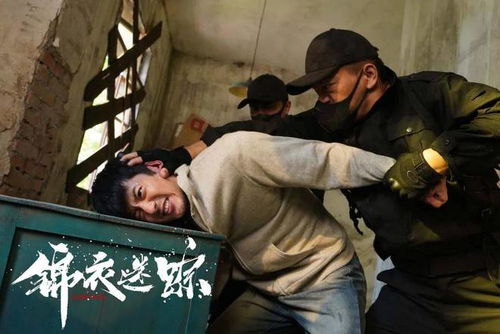免费观看迷你刑侦短剧，探索犯罪世界的精彩瞬间