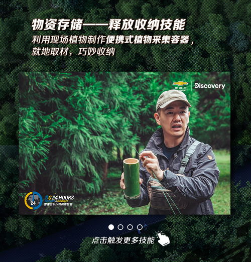 迷雾森林，一部引人入胜的免费短剧观看指南