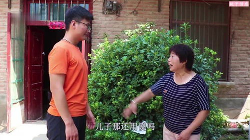 短剧互换女儿，免费观看的真相