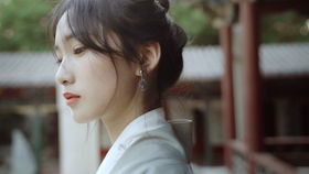 免费观看指南，霸气赘婿，短剧精彩不容错过
