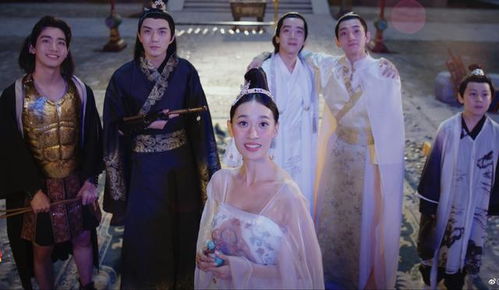 傻子驸马，免费短剧欣赏