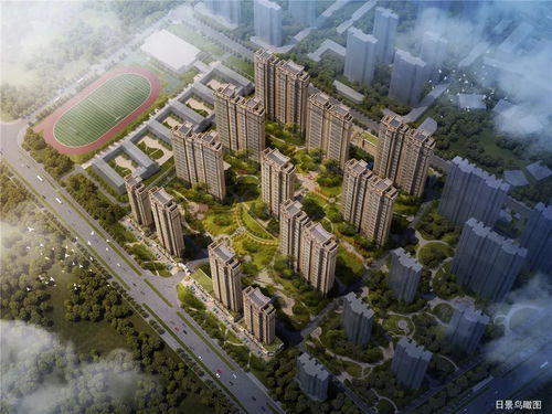 名门进阶之路，免费短剧，尽享精彩世界