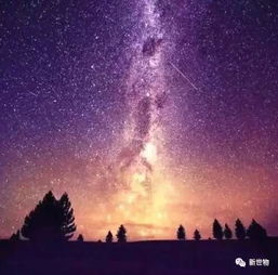 台湾星座短剧，星空下的故事免费观看