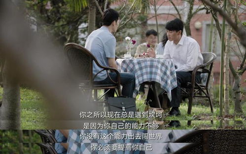 揭秘人生抉择，抗婚之路短剧免费观看