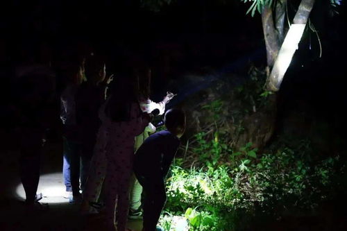 免费探索，走出丛林，寻找自然与生活的交汇点