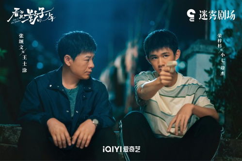 小舅阴谋，免费短剧之旅的揭秘