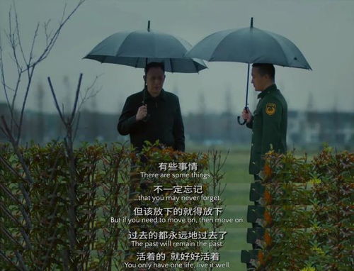 孤独终老的深思，一部免费观看的短剧指南