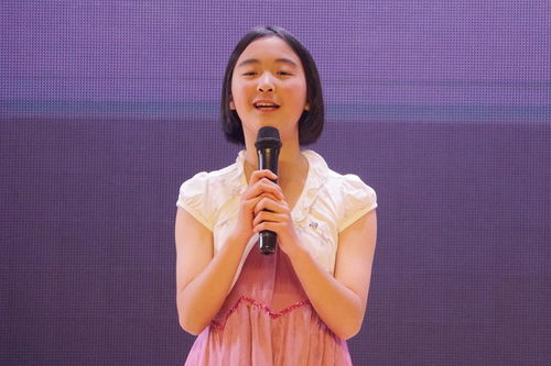 林凡短剧免费全集观看，探索影视艺术的无限魅力