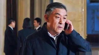 揭秘幕后，免费欣赏老板系列短剧的精彩世界