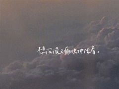 深冬必看免费短剧，温暖你的心灵选择