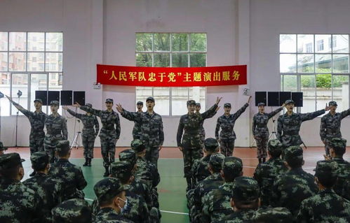免费蝴蝶短剧，新时代的艺术与娱乐在线观看