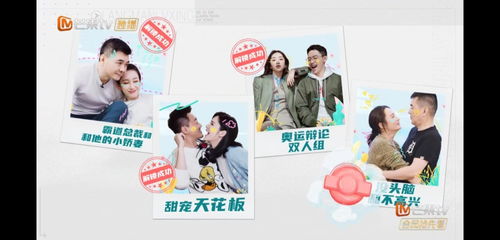免费观看，痴情总裁的浪漫之旅