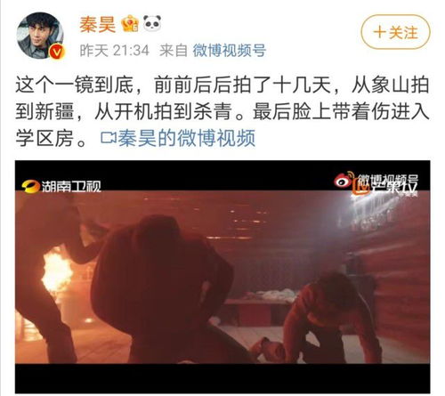 最强爹地，免费短剧尽享精彩
