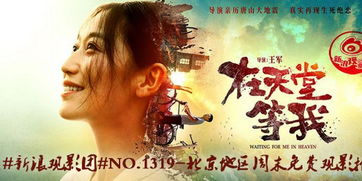 免费观影，残疾君王的悲欢离合
