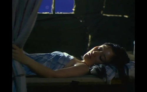 揭秘女性力量，复仇女人的短剧故事免费观看