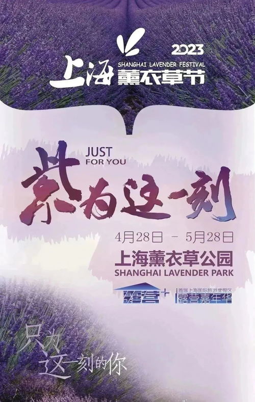 免费短剧之旅，意犹未尽的魅力体验