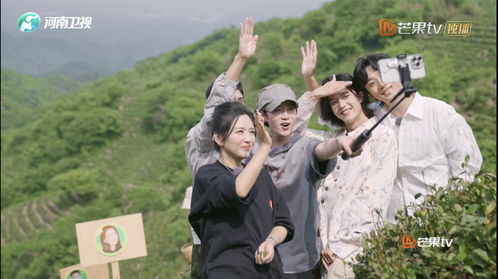 潇洒少年，免费短剧的魅力之旅