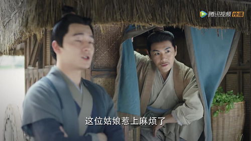 免费观看，太子剧情的魅力与吸引力