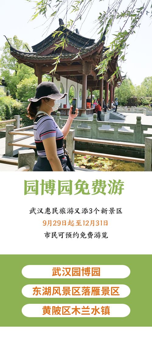 免费观看全集，迷途短剧的魅力之旅