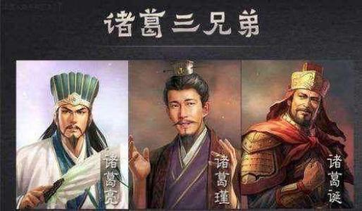 诸葛家族，免费观看的短剧全解析