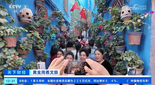 小安的免费短剧之旅，魅力与乐趣的探索