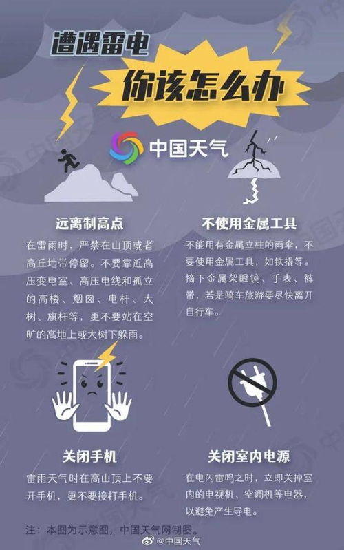 夏日免费观剧，清凉时光畅享无限