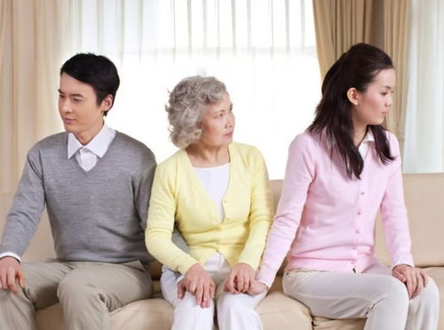 婆媳情深，温馨感人的生子短剧免费观看