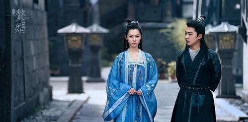 穿越历史，品味传统之美，赘婿古装短剧免费欣赏