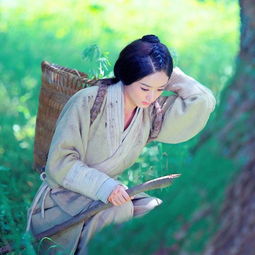 免费观看古装短剧替身情缘一览无余