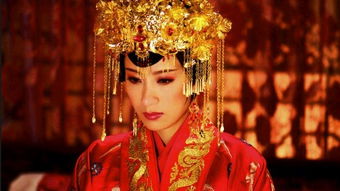 太子太后，免费短剧的观影首选