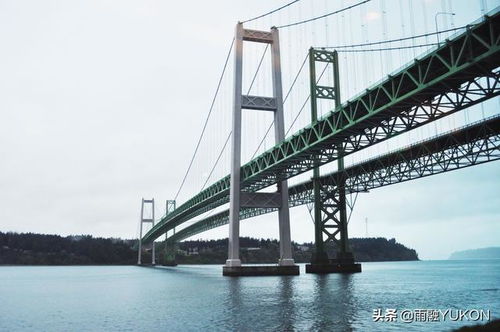 揭秘大桥塌陷事件，短剧免费观看
