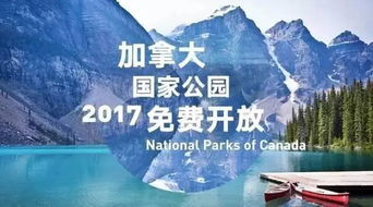 月色如故，免费短剧的魅力之旅