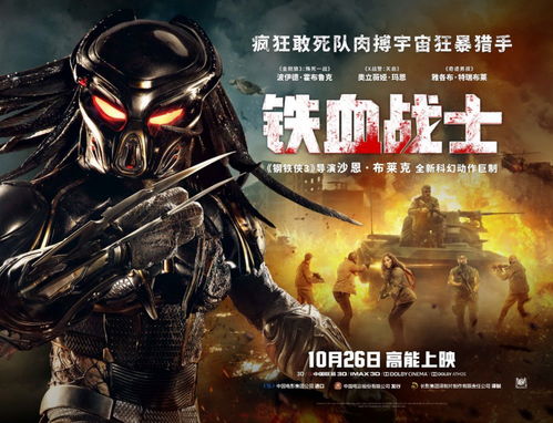 铁血太子免费观看指南