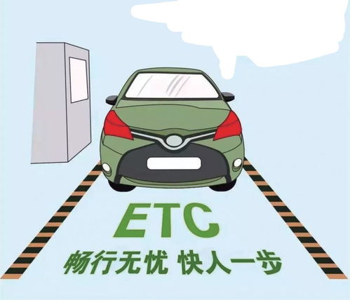 颠峰之主，免费短剧的魅力之旅