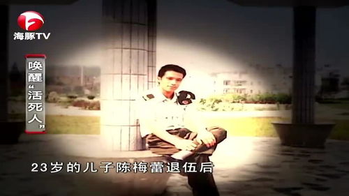 男人尊严与短剧的碰撞，免费观看的吸引力