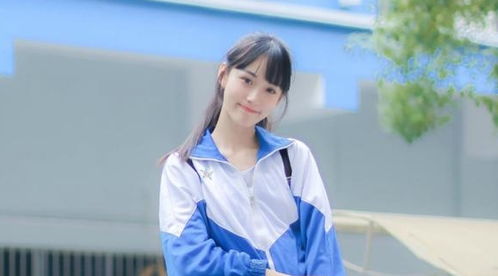 全职主妇的新选择，短剧热潮中的免费观看魅力