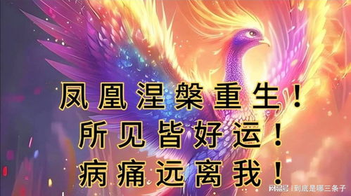 涅槃重生，免费短剧的全新观影体验