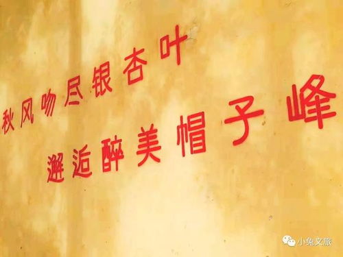 探秘吕氏家族，免费短剧的精彩世界之旅