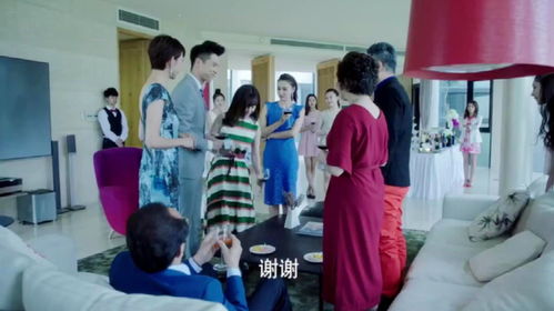 免费观看，擦鞋女婿的精彩世界