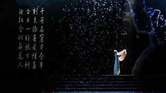 免费观看天意短剧，精彩世界一览无余