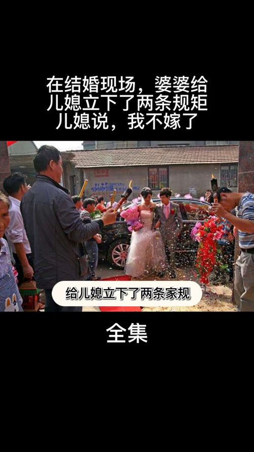免费观看，皇后医生，医疗故事精彩纷呈